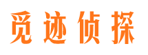 爱民出轨调查